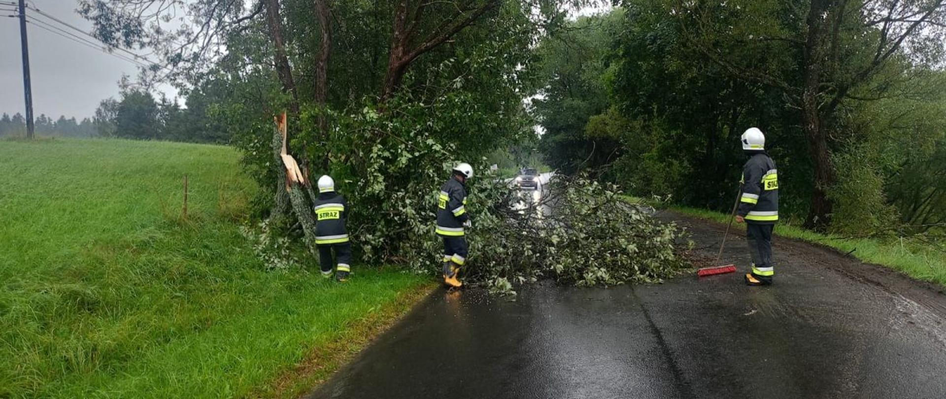 Zdjęcie przedstawia strażaków OSP którzy usuwają drzewo znajdujące się na drodze.