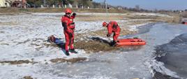 Zdjęcie przedstawia dwójkę strażaków PSP przygotowujących na brzegu jeziora sprzęt ratowniczy do działań na lodzie. Strażacy ubrani są w suche skafandry, kamizelki ratownicze i kaski. 