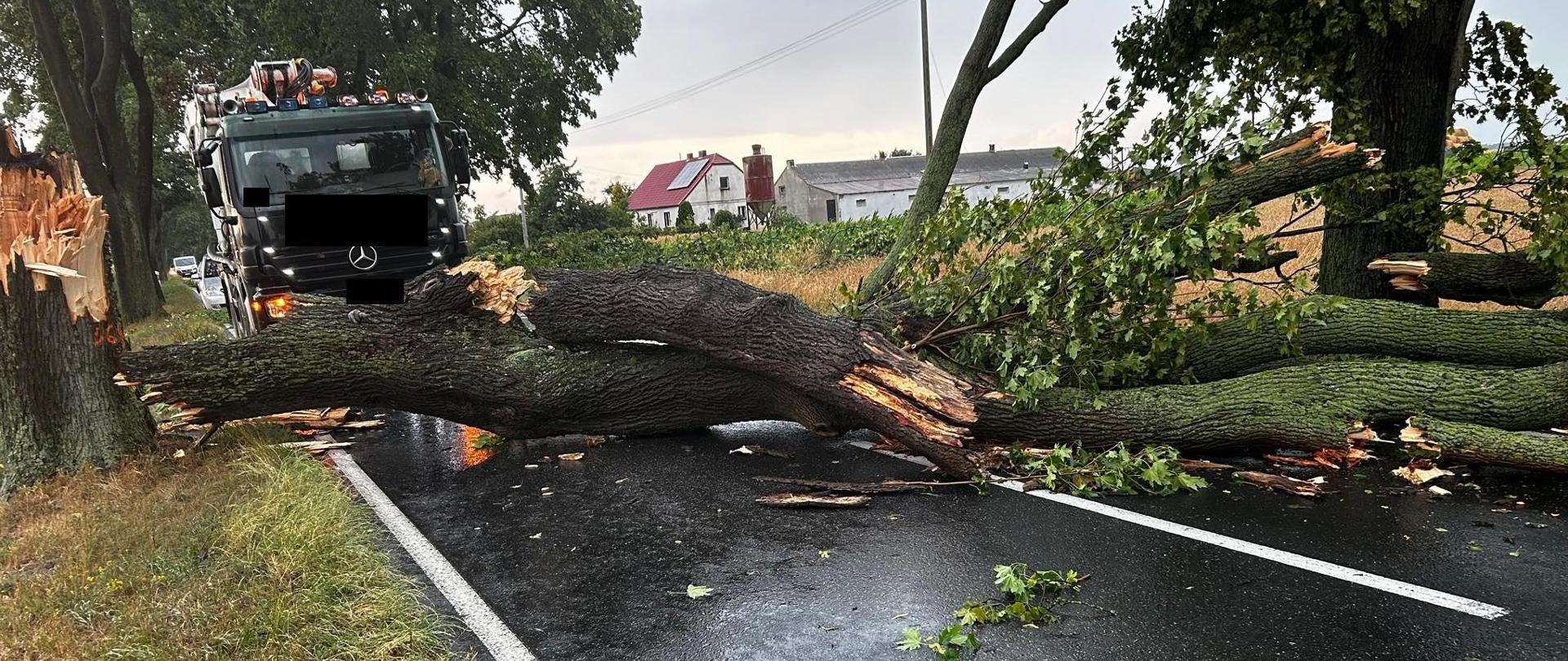 Drzewo leży na drodze