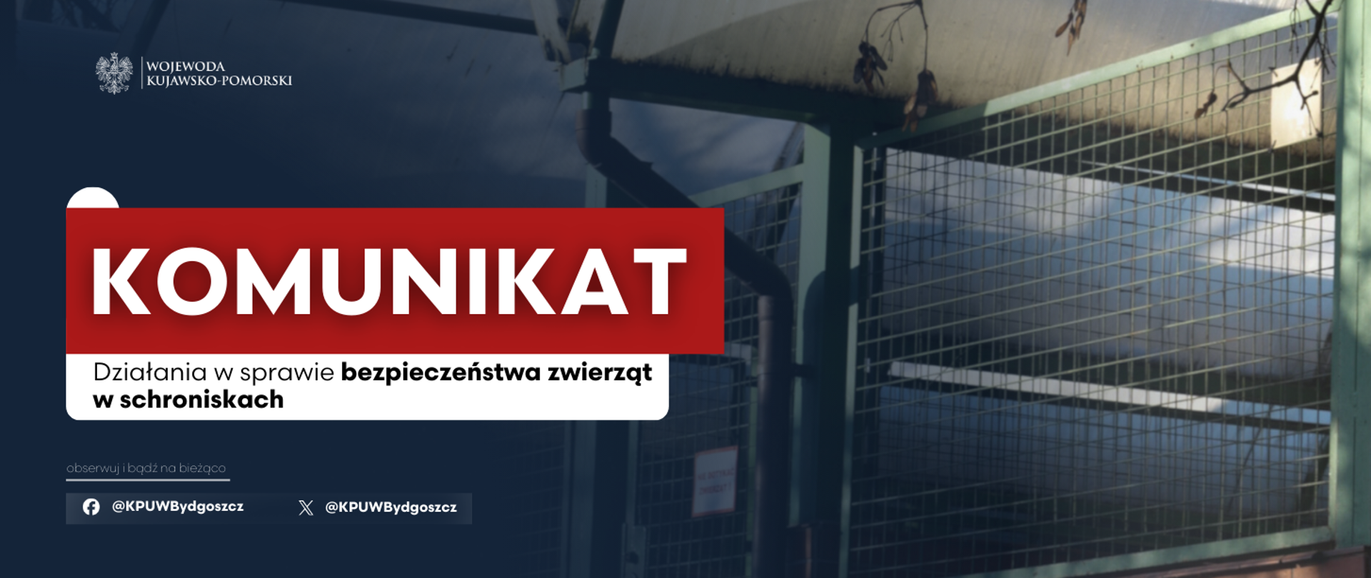 Działania w sprawie bezpieczeństwa zwierząt w schroniskach