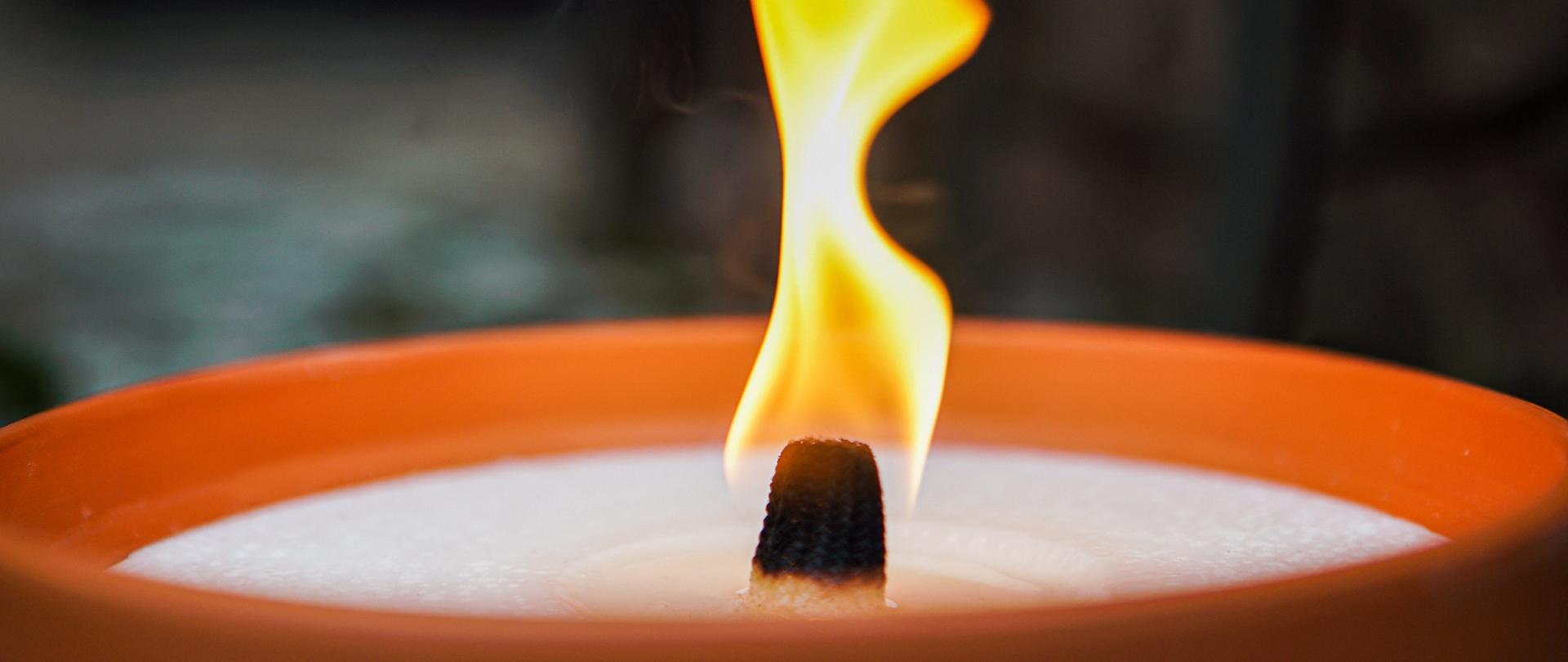 80. rocznica likwidacji obozu obozu cygańskiego w Litzmannstadt Getto