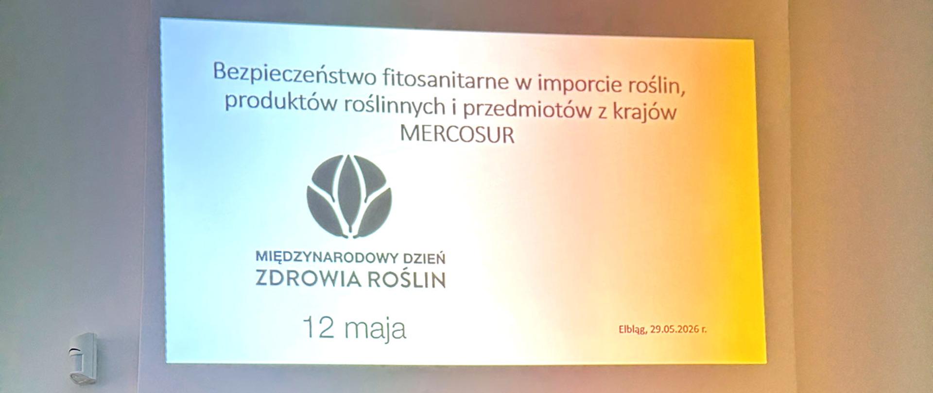mężczyzna w koszulce z napisem PIORiN stoi pod ekranem z prezentacją