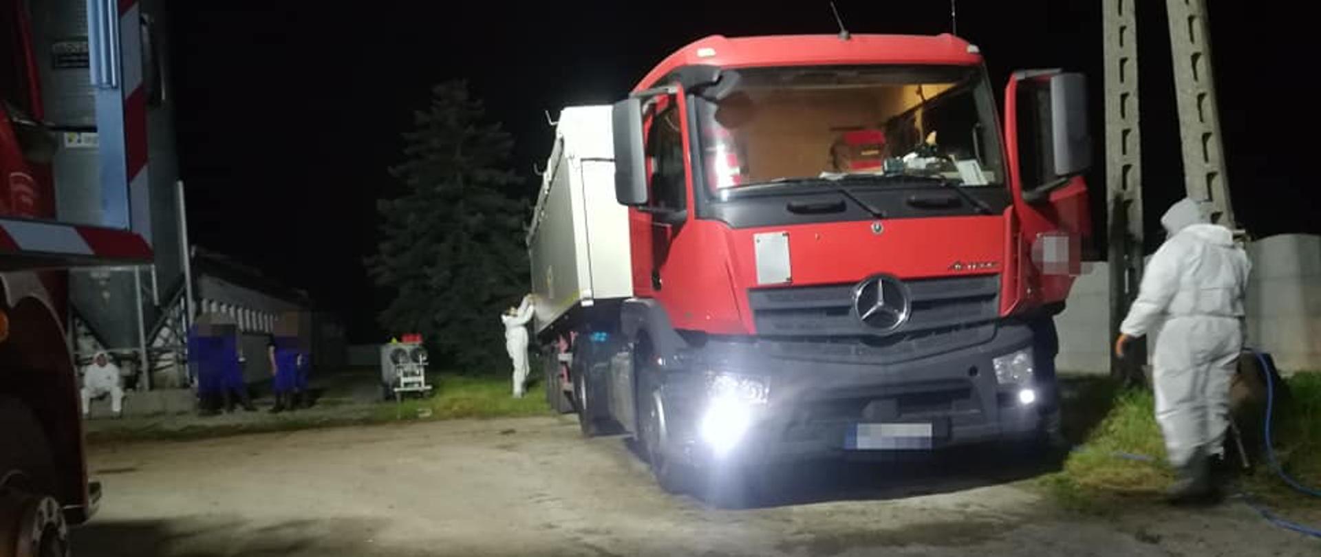 Likwidacja ogniska ASF w Gnuszynie