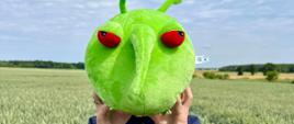 Zdjęcie przedstawia maskotkę agrofaga Pesty