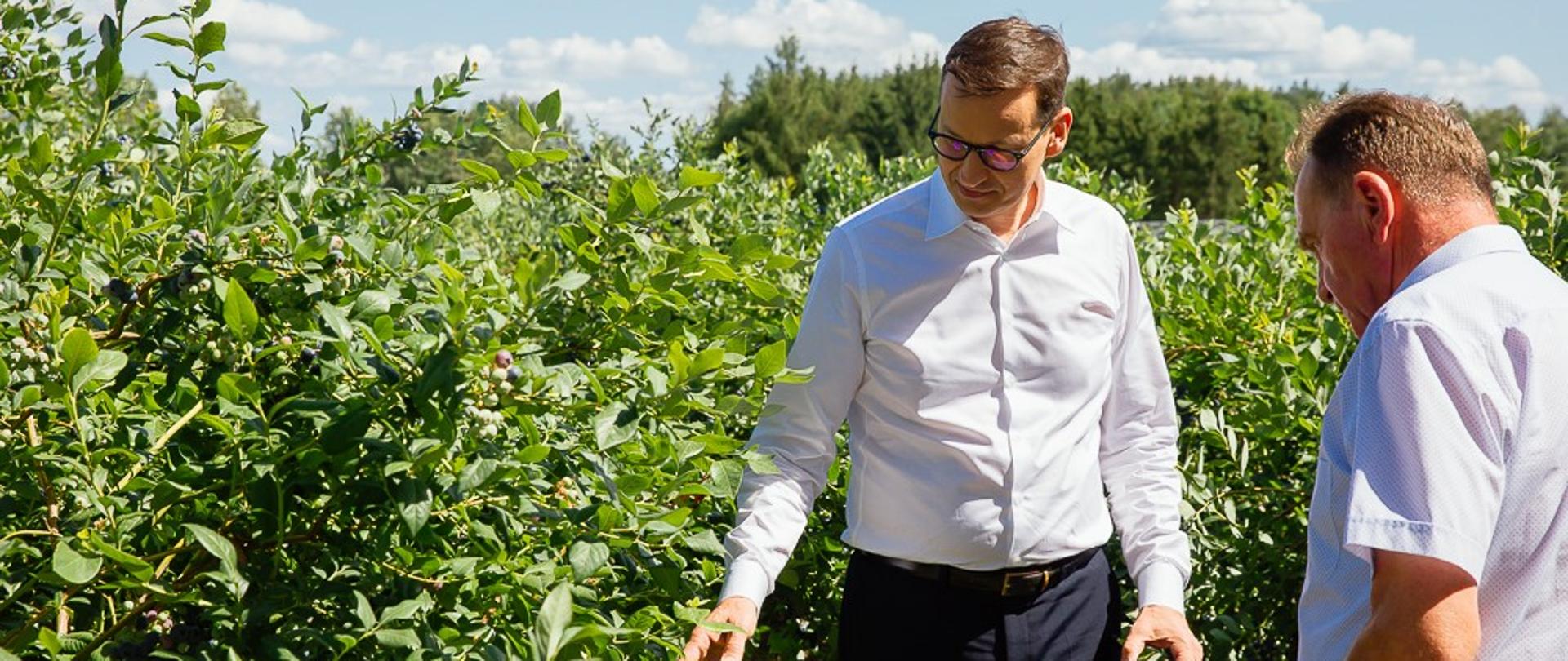Premier Mateusz Morawiecki w sadzie a obok stoi rolnik.