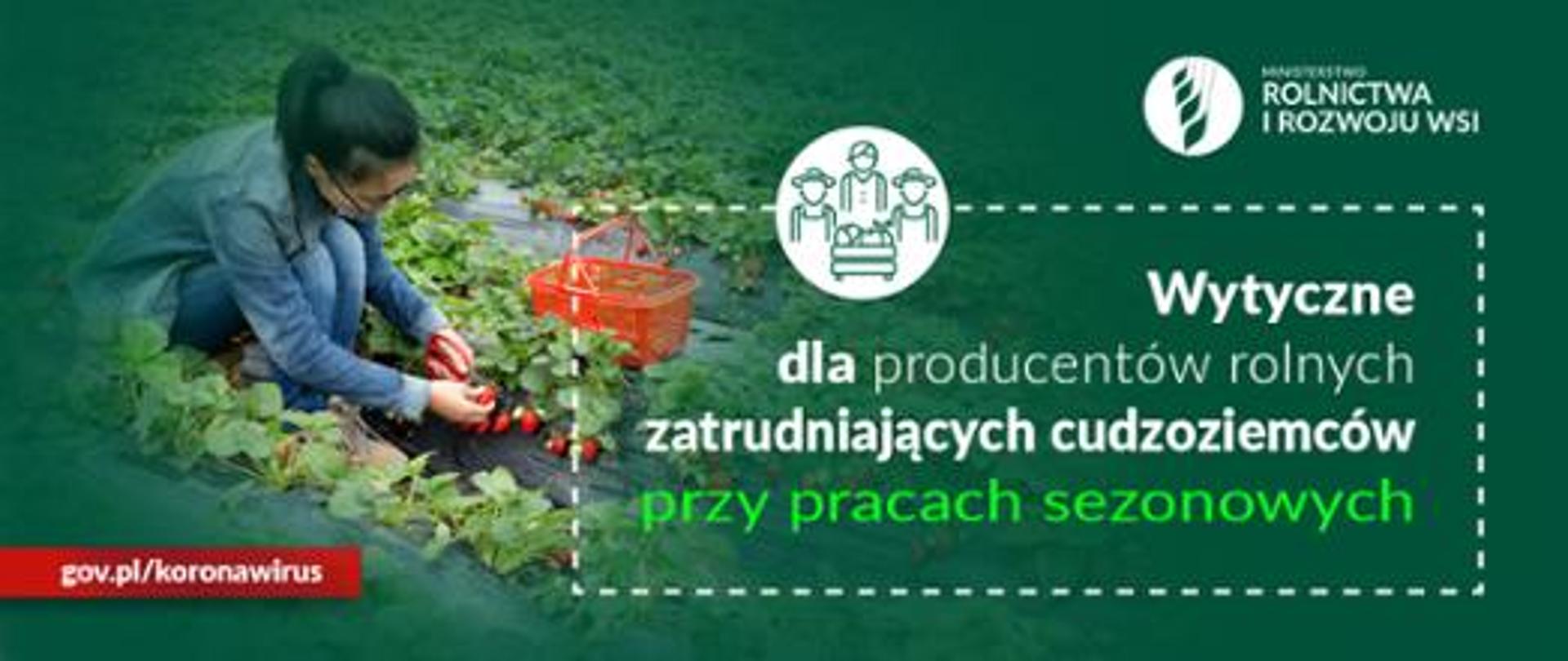 Uprawa rolna panorama