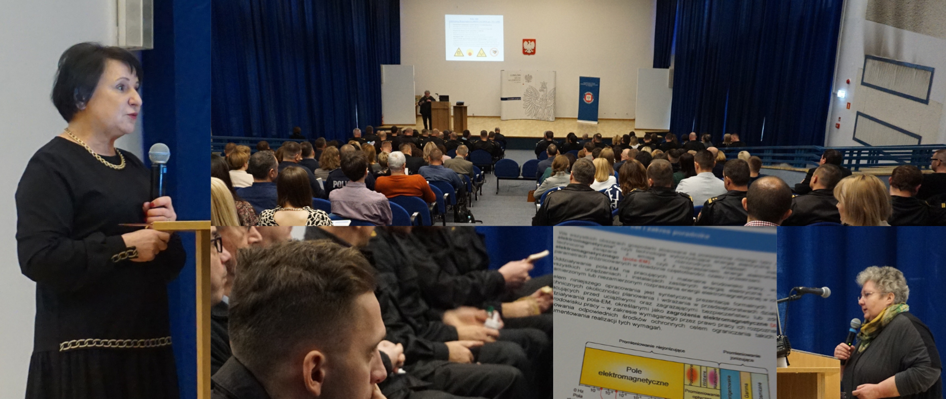 Szkolenie - zagrożenia elektromagnetyczne