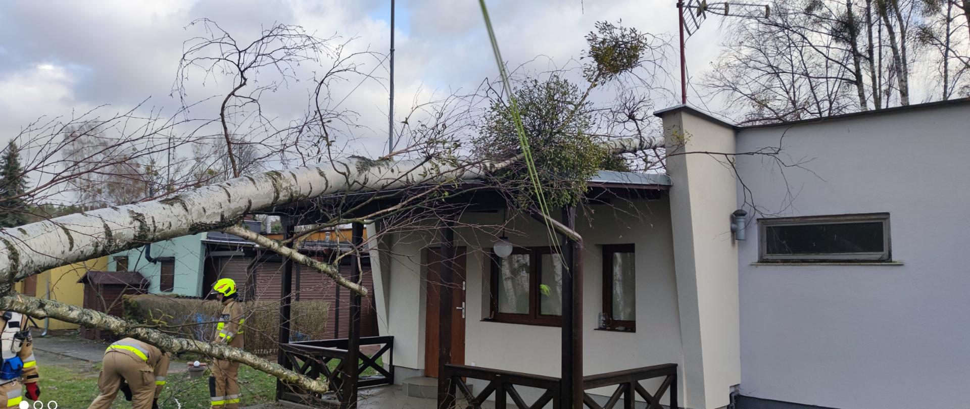 Zdjęcie przedstawia drzewo przewrócone na domek letniskowy.