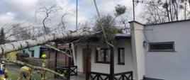 Zdjęcie przedstawia drzewo przewrócone na domek letniskowy.
