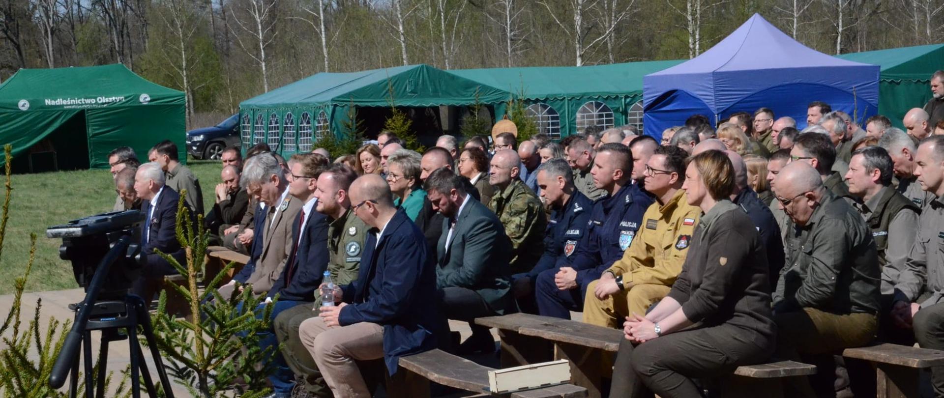 Regionalne Obchody Święta Lasu