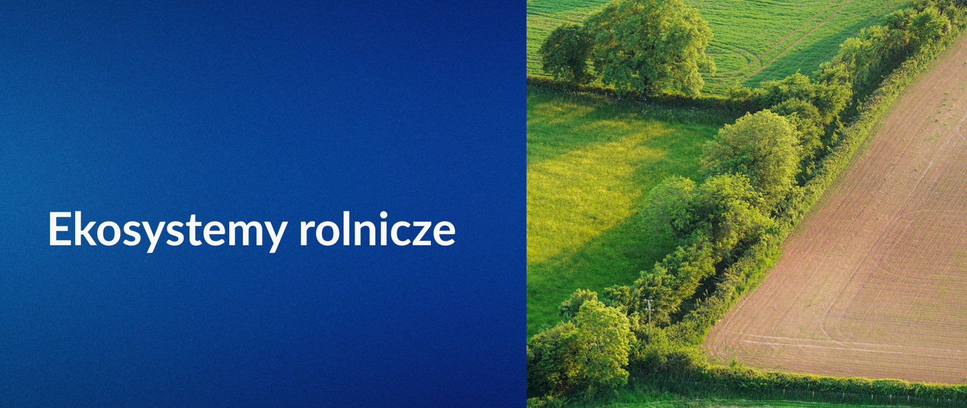 plansza z napisem ekosystemy rolnicze po lewej i zdjęciem lotniczym pól uprawnych z zadrzewieniami