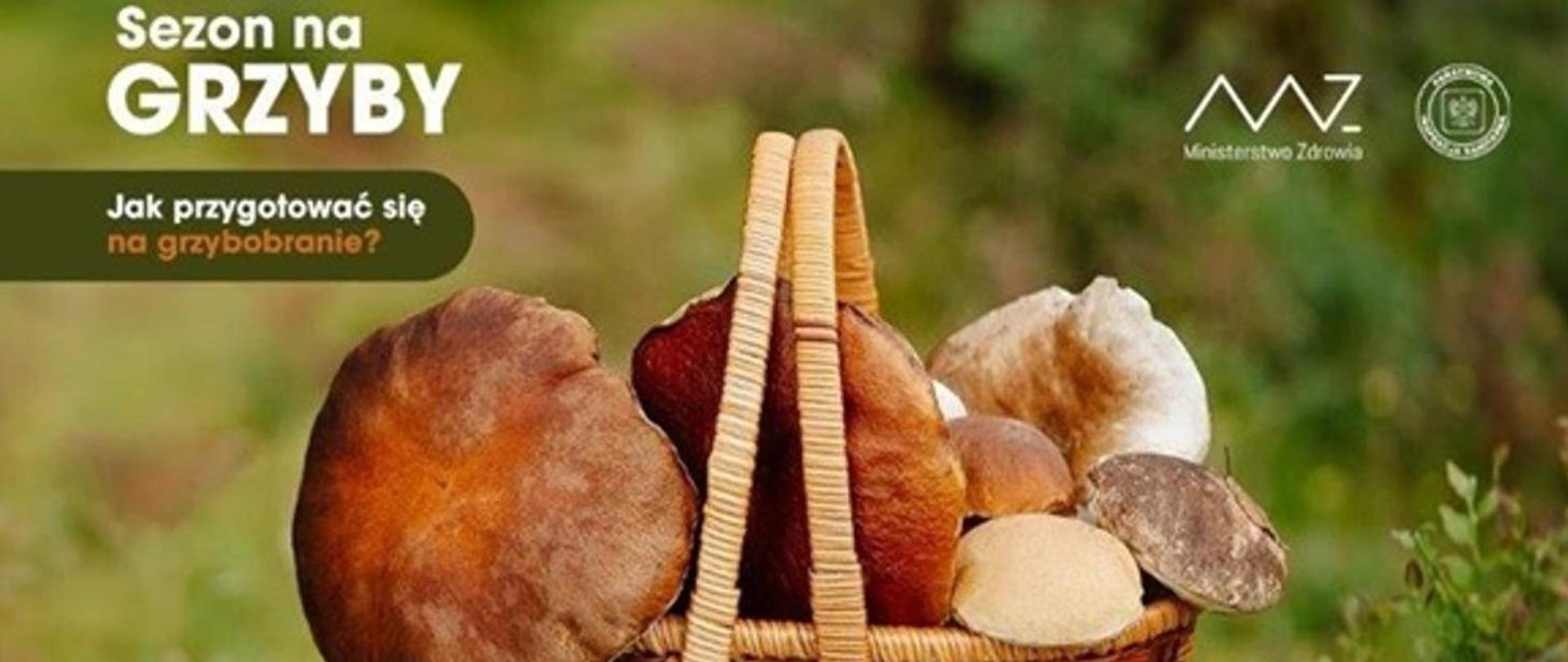 zdjęcie przedstawia koszyk z grzybami