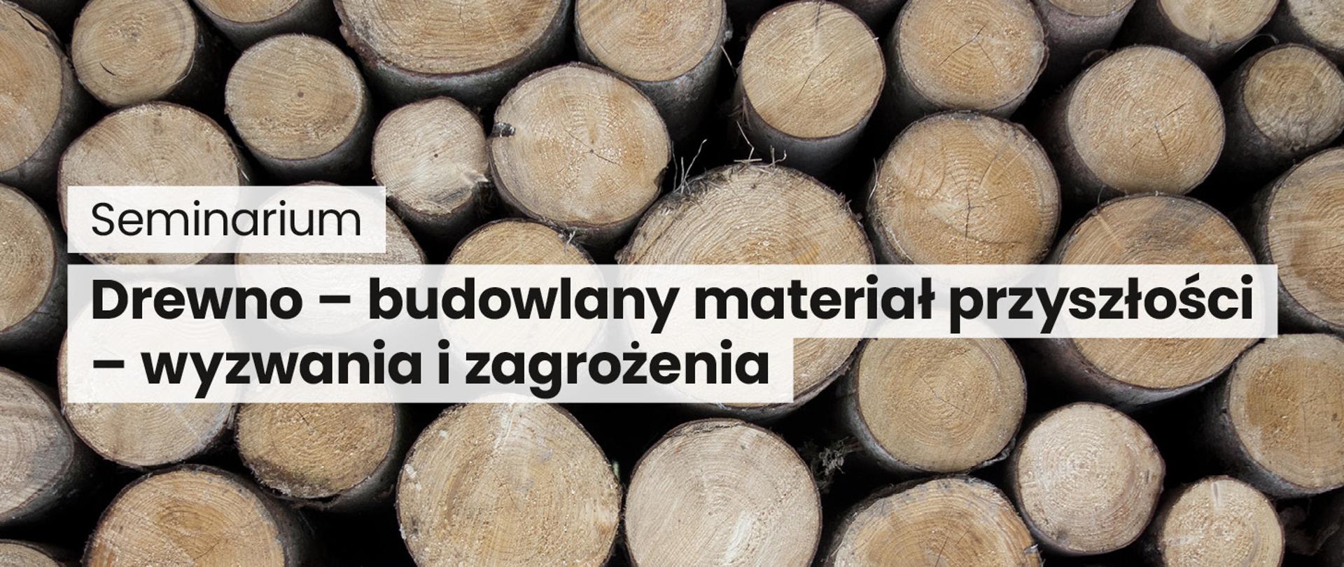 Seminarium "Drewno - budowlany materiał przyszłości - wyzwania i zagrożenia"