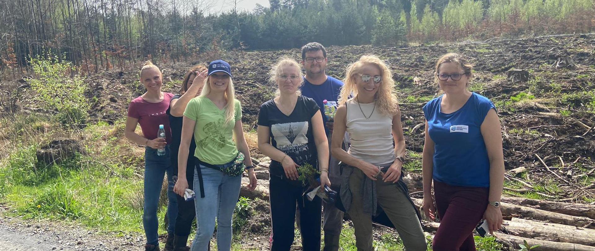 Sadzenie drzew na terenie Leśnictwa Rokitki.