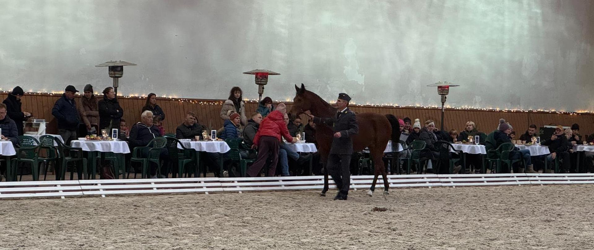 Tegoroczna edycja Zimowej Aukcji Koni Arabskich spotkała się z ogromnym zainteresowaniem ze strony klientów, co przełożyło się na jej dobry wynik finansowy