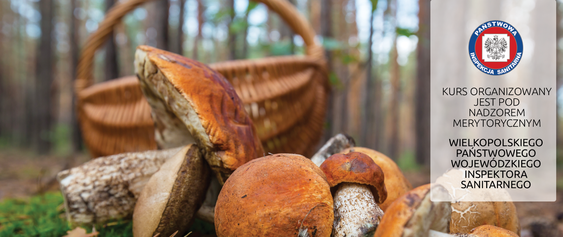 Wielkopolski Państwowy Wojewódzki Inspektor Sanitarny organizuje kurs dla kandydatów na klasyfikatora grzybów w terminie: 24-26.05.2023 r. w Karpicku k/Wolsztyna