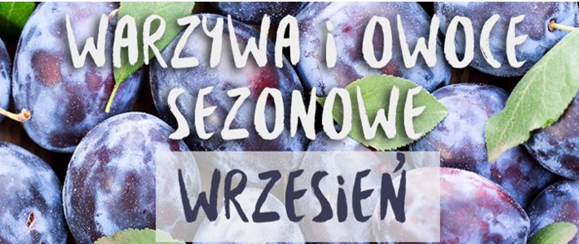 Warzywa i owoce sezonowe