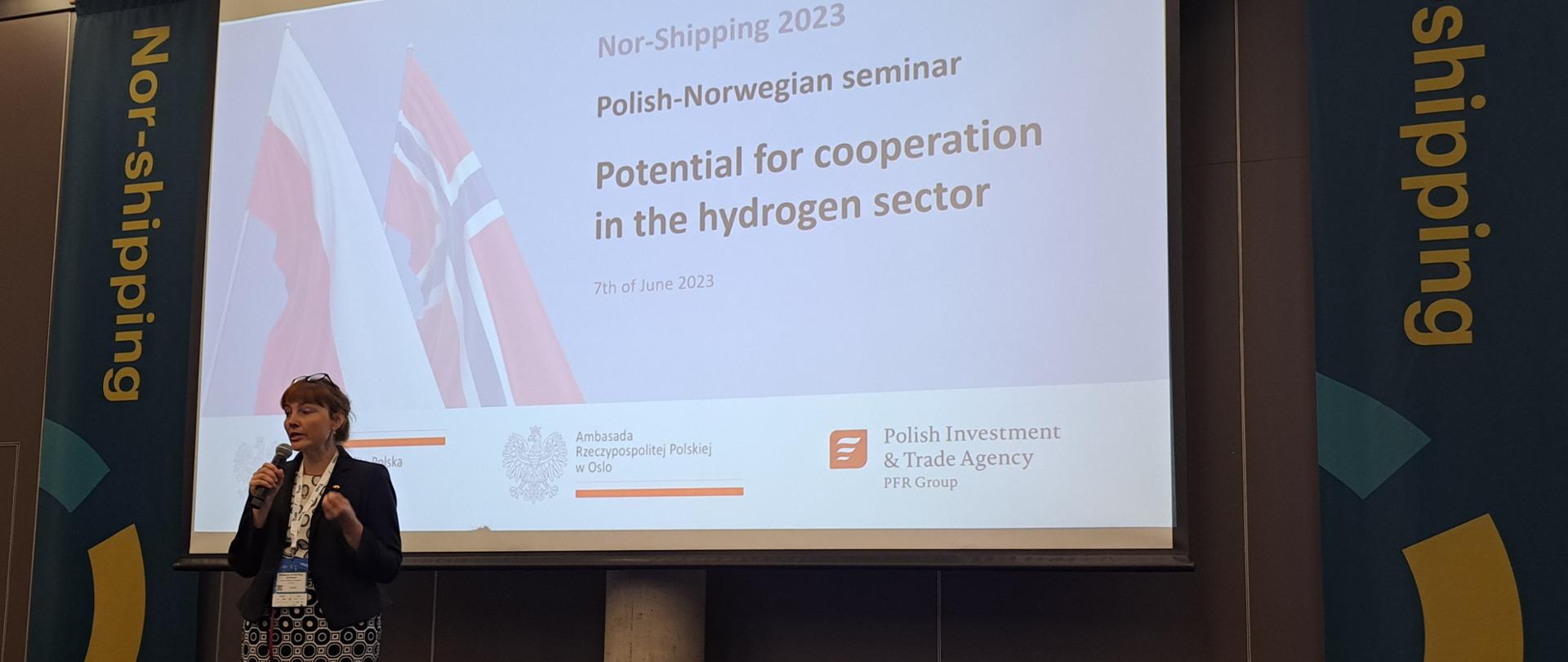 Seminarium wodorowe PL-NO 