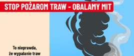 Grafika przedstawia wyjaławianie gleby podczas pożaru trawy. W ramach akcji społecznej Stop Pożarom Traw