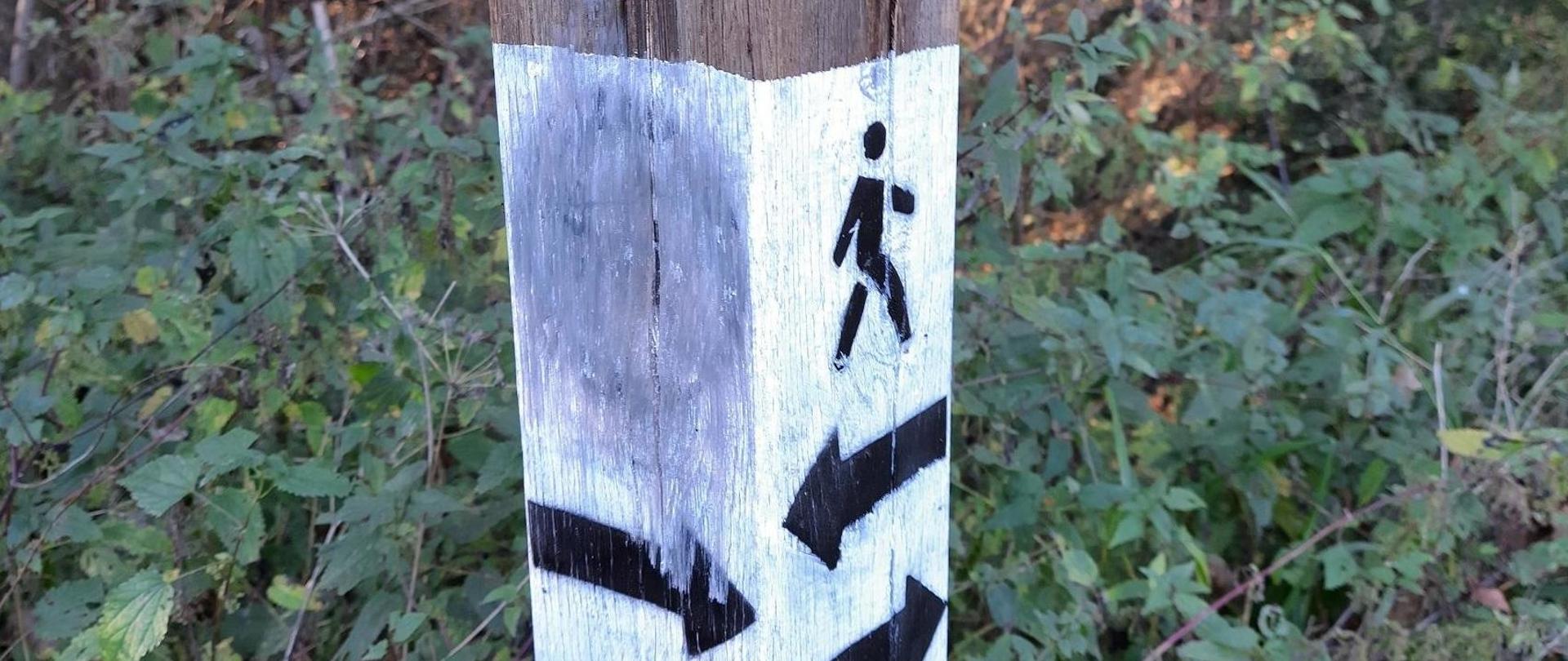 Słup w mazowieckim rezerwacie przyrody