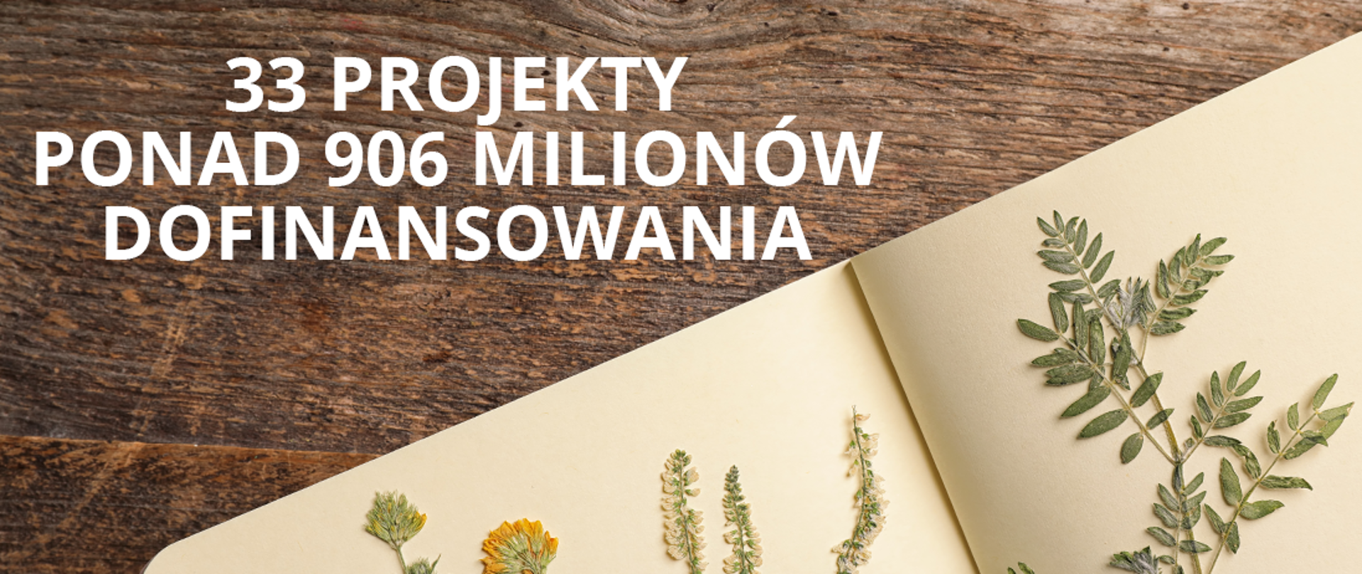Bander przedstawia fragment zielnika oraz zawiera napis: 33 projekty - ponad 906 milionów dofinansowania.