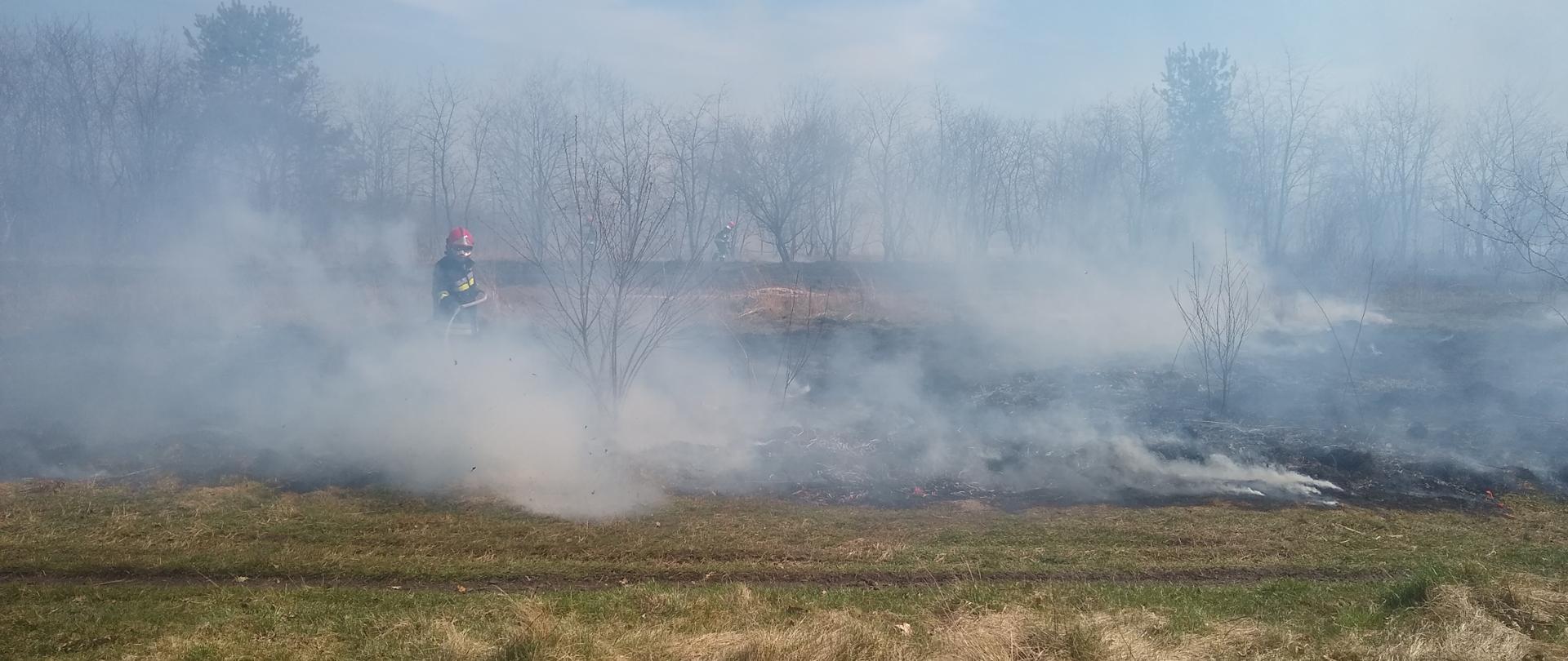 Pożar trawy w Ostrowcu Św.