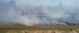Pożar trawy w Ostrowcu Św.