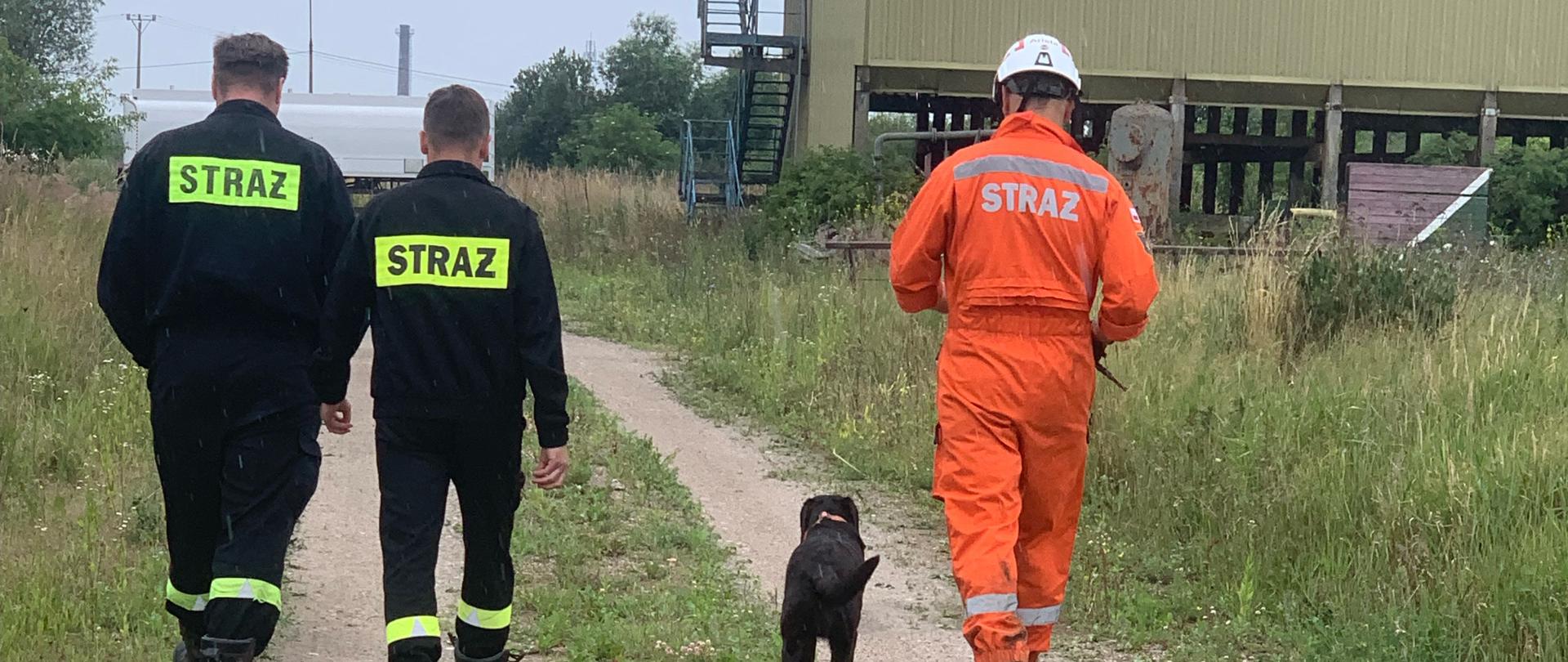 Strażacy podczas szkolenia