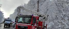 Usuwanie powalonych drzew z linii energetycznych. Strażacy i energetyka usuwa powalone drzewa z linii energetycznych. Na zdjęciu mocno zaśnieżone drzewa i czerwony podnośnik strażacki a za nimi pojazd pogotowia energetycznego