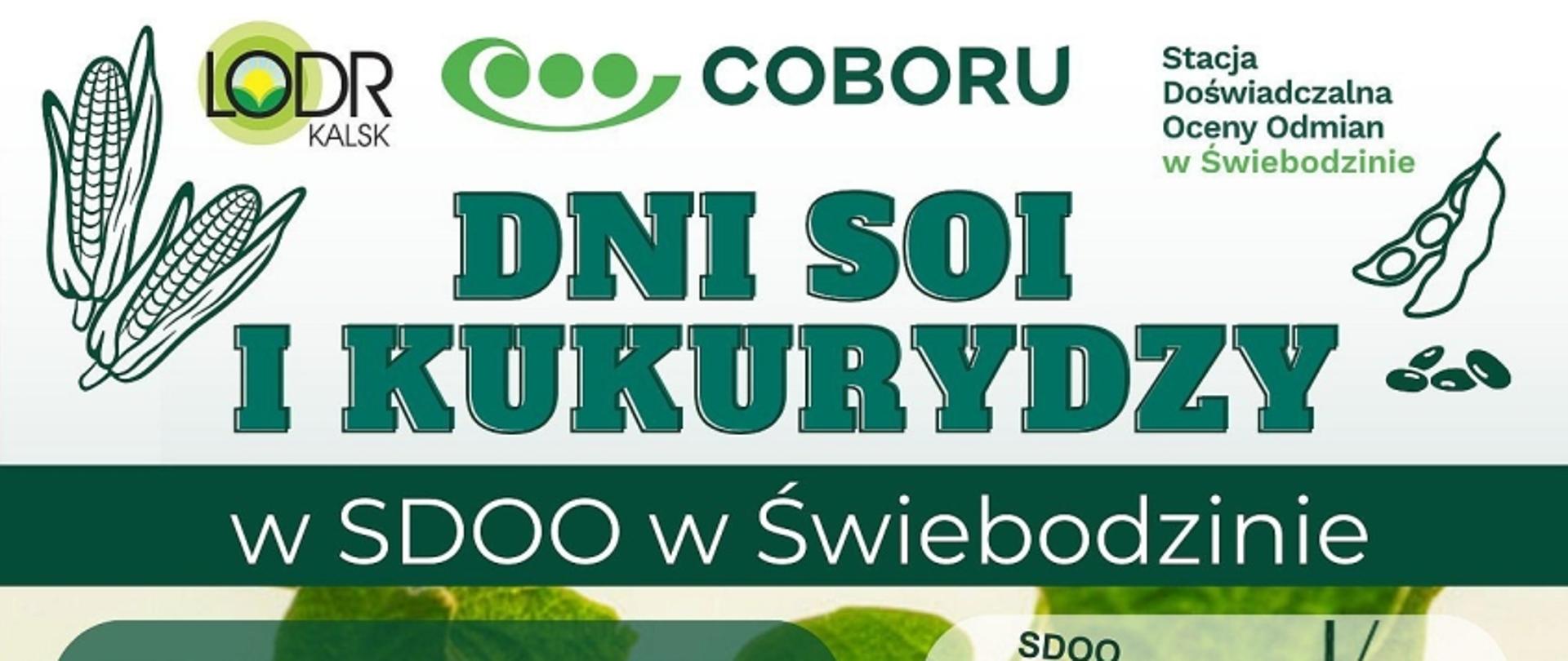 Dni Soi i Kukurydzy 2025 w SDOO w Świebodzinie