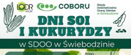 Dni Soi i Kukurydzy 2025 w SDOO w Świebodzinie