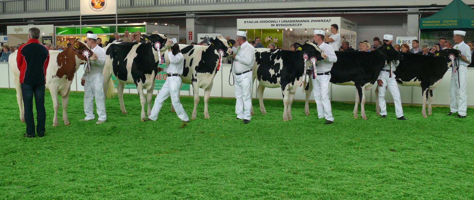 Prezentacja zwierząt