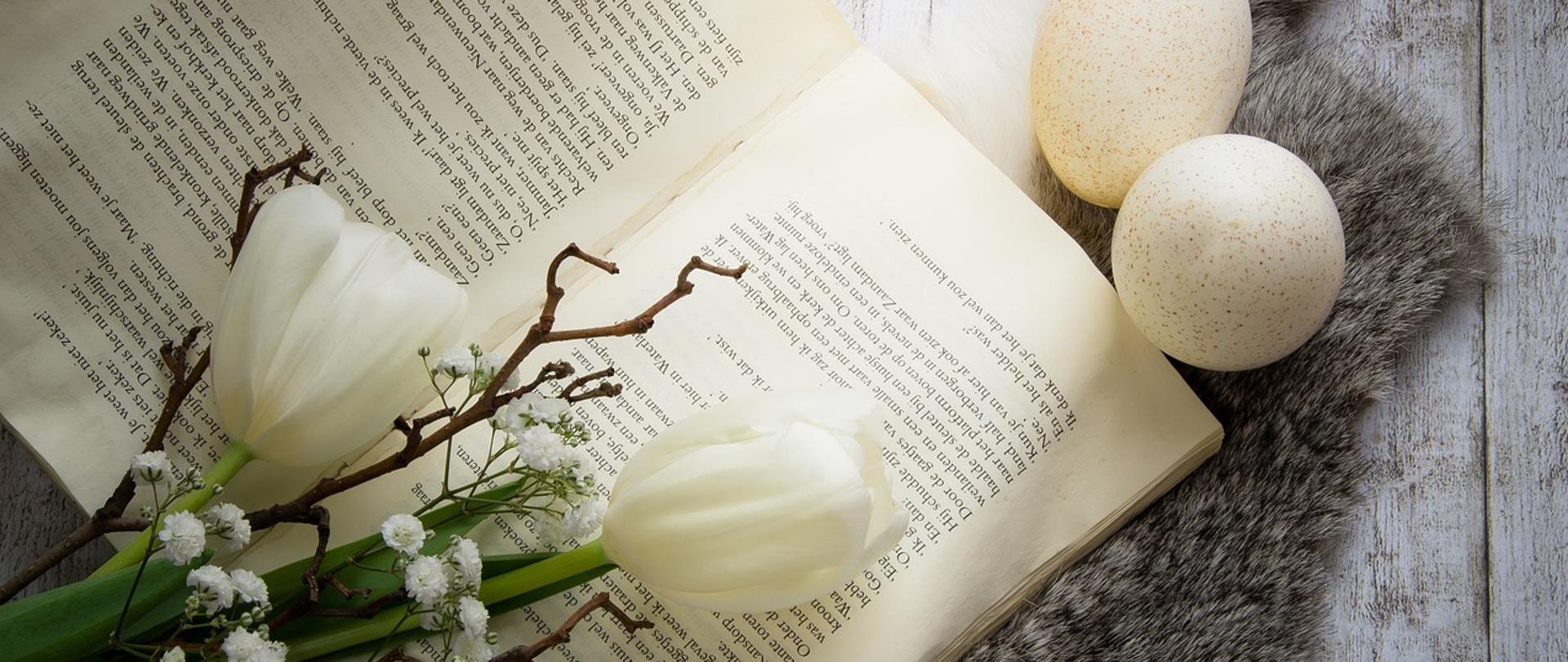 Zdjęcie tulipanów leżących na otwartej książce