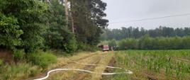 Zdjęcie przedstawia drogę, na której leżą węże pożarnicze, a w oddali znajduje się na niej samochód pożarniczy oraz strażacy. Na zdjęciu widoczny jest również las i pole kukurydzy.