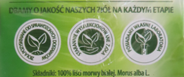 Morwa_biała_Suplement_diety_Herbata_ziołowa,_Zielnik_Polski,_40g_(20_torebek)3