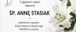 Informacja o pożegnaniu świętej Pamięci Anny Stasiak. Po prawej stronie o tekstu biały kwiat oraz płonący znicz.