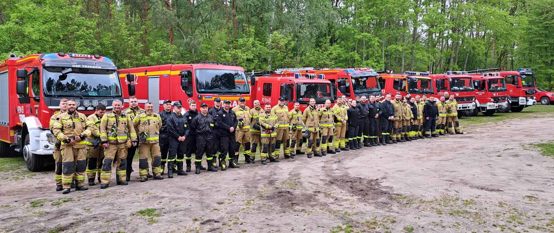 Strażacy w umundurowaniach specjalnych stojący w dwuszeregu na tle pojazdów gaśniczych oraz ściany lasu.