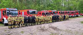Strażacy w umundurowaniach specjalnych stojący w dwuszeregu na tle pojazdów gaśniczych oraz ściany lasu.