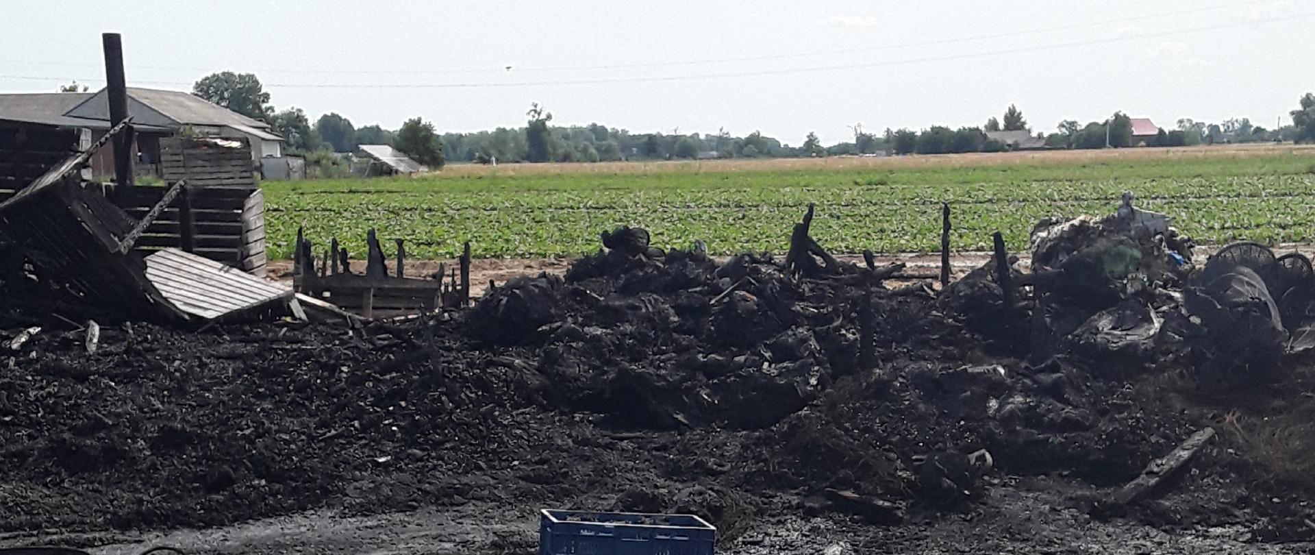 Zwęglone w wyniku pożaru plastikowe i drewniane materiały produkcyjne. Po prawej stronie widać parterowe, również zwęglone zabudowanie. W tle widać zielone pola uprawne.