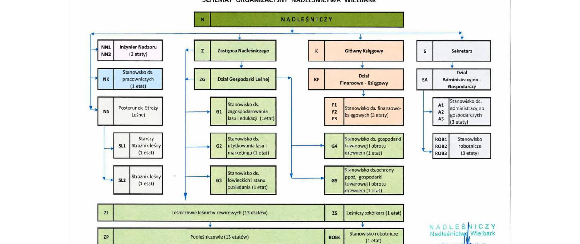 Schemat organizacyjny N.Wielbark