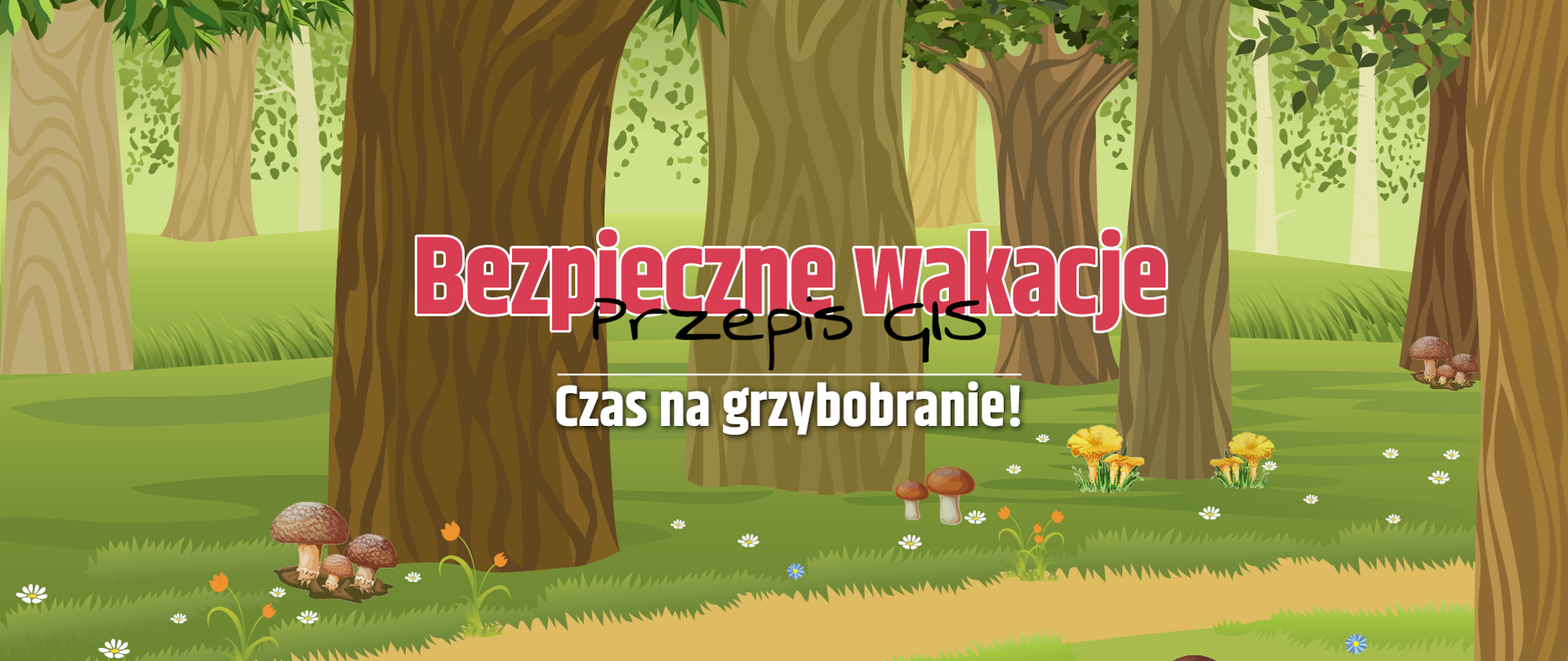 cover_grzybobranie