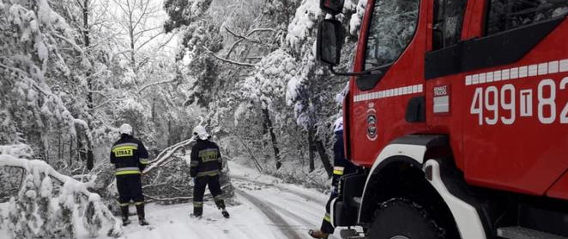 Strażacy OSP Starachowice usuwają powalone przez śnieg na ulice drzewo, na pierwszym planie samochód pożarniczy 