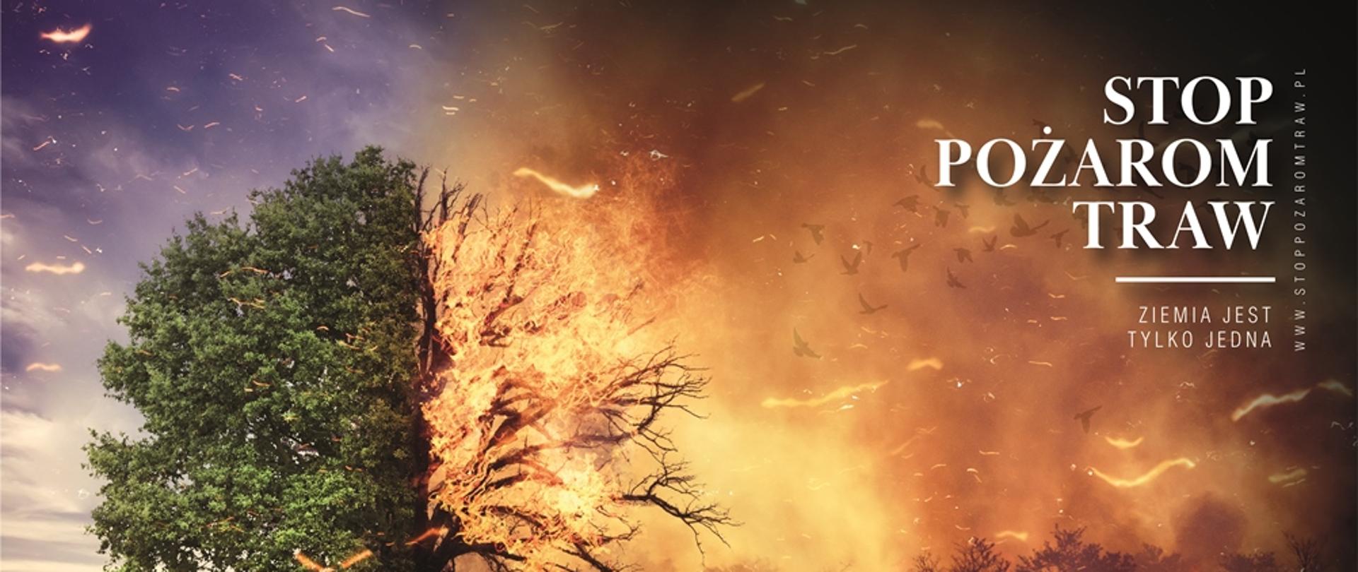 Plakat podzielony na dwie niesymetryczne części. Lewa część zielona trawa i drzewa. Prawa część w ogniu. Palą się trawy i drzewa zwierzęta uciekają w popłochu. 
