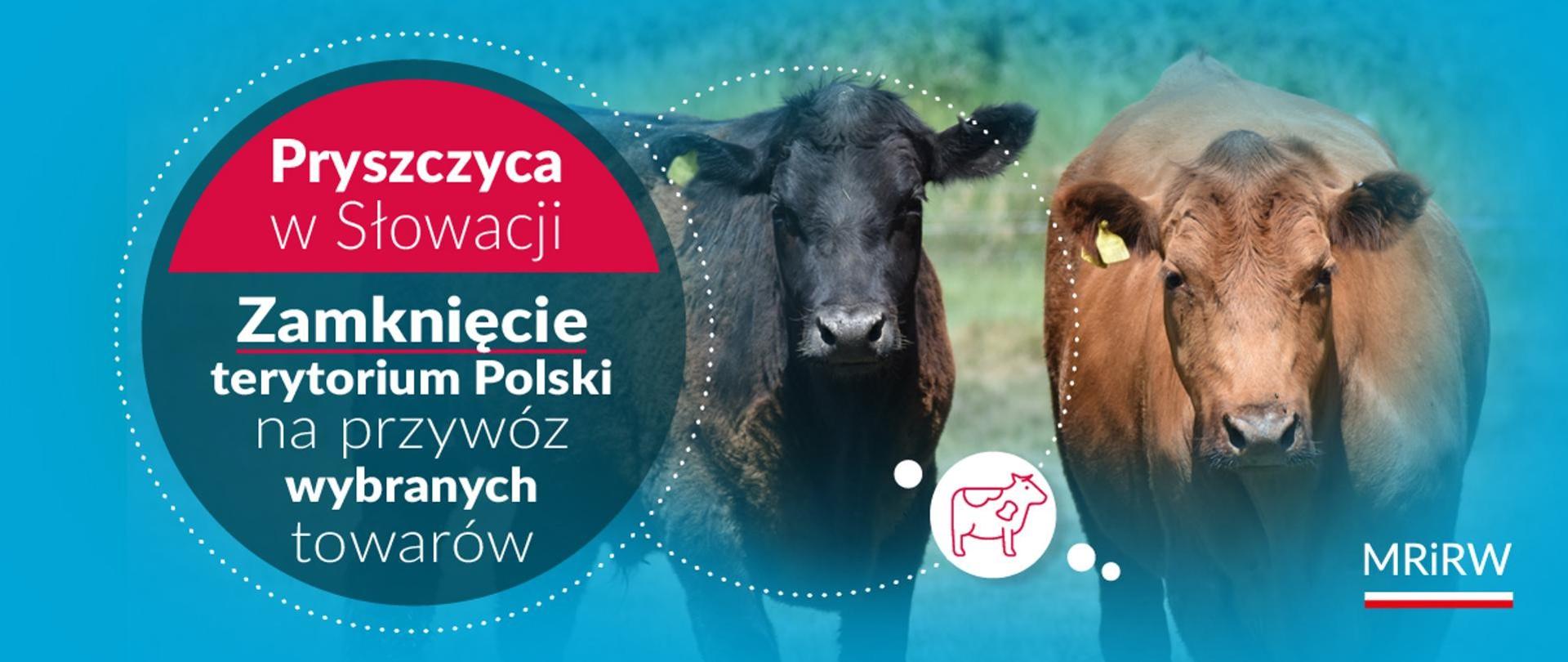 Pryszczyca w Słowacji
