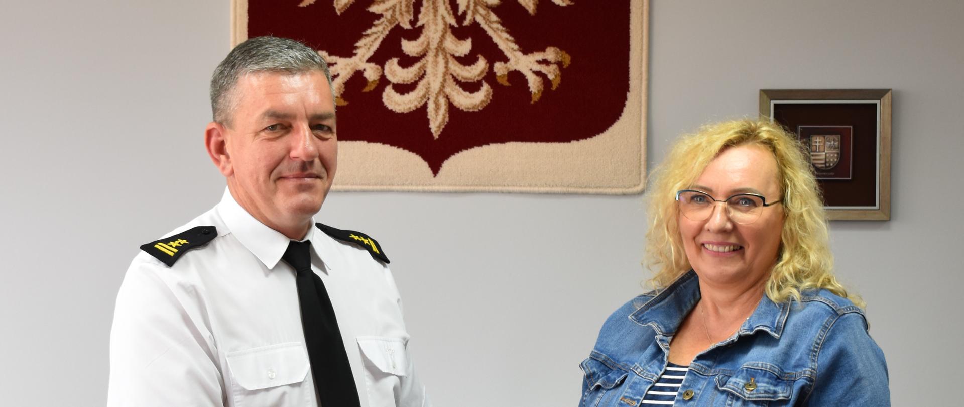 Przekazanie defirbylatora 