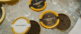 Antonius Caviar premiers on ice