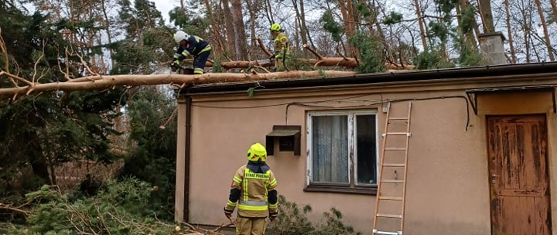 Strażacy wycinają drzewo leżące na dachu budynku gospodarczego.