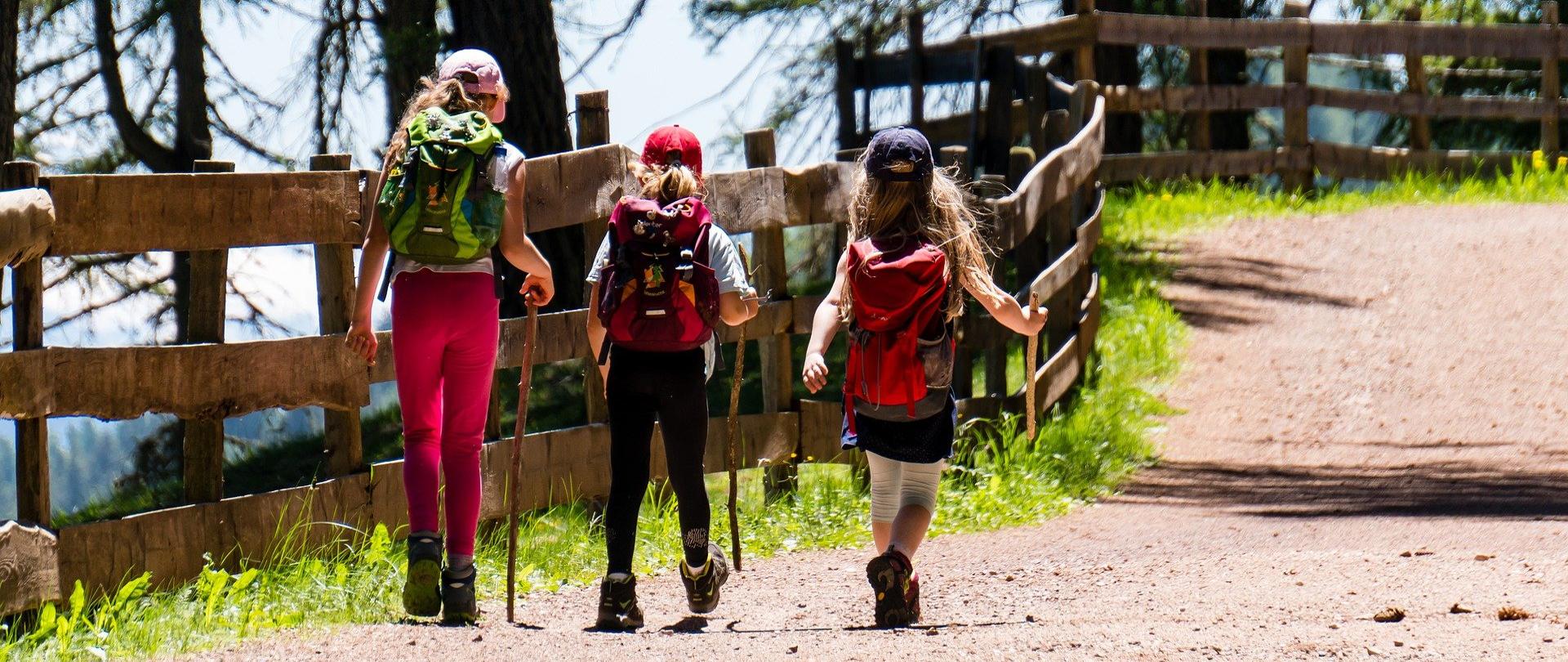 Trzy dziewczynki idą tyłem z patykami na wyprawie latem na górskim szlaku.