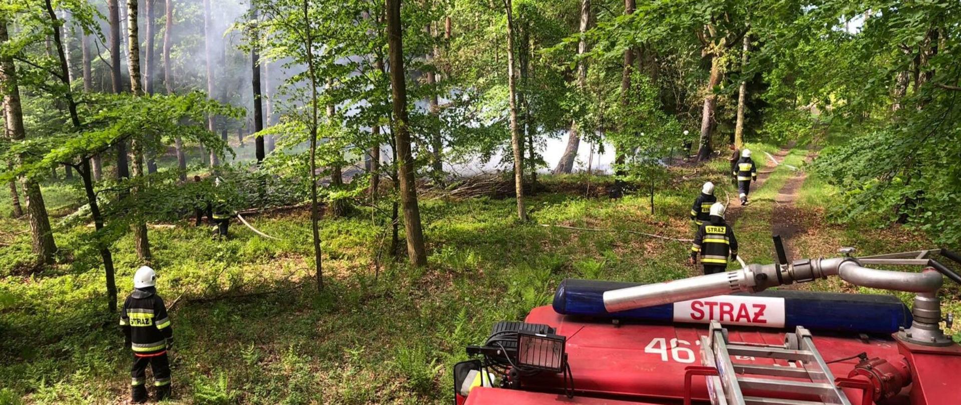 Zdjęcie przedstawia strażaków gaszących pożar w lesie. Widać też samochód straży pożarnej.