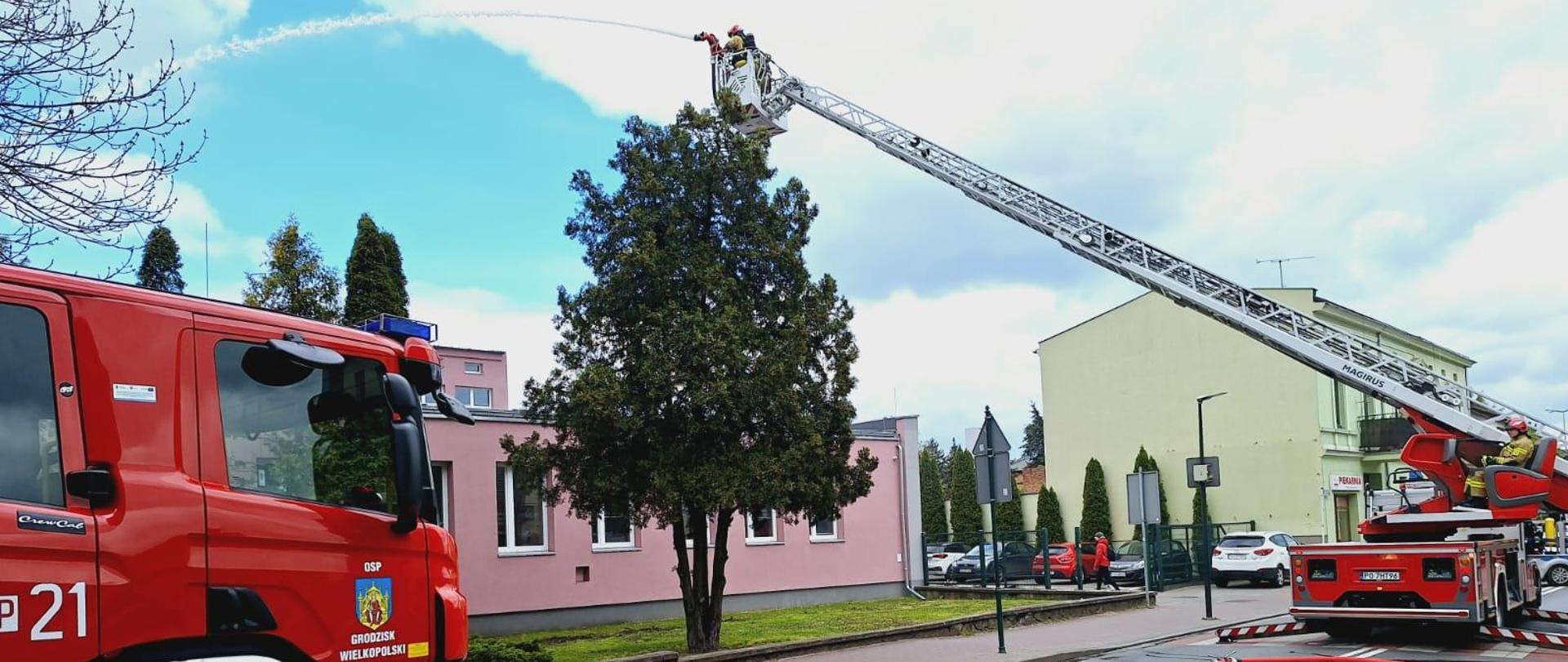 Ćwiczenia z Zespole Szkół Technicznych w Grodzisku Wlkp. 